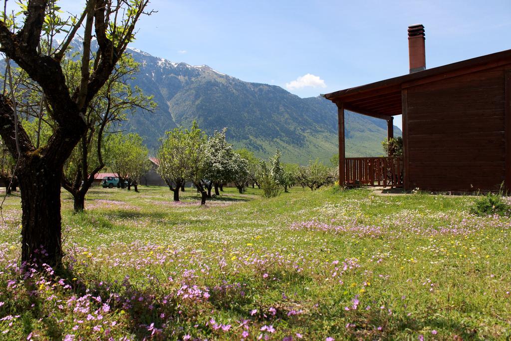 Villa Rustica Konitsa Luaran gambar