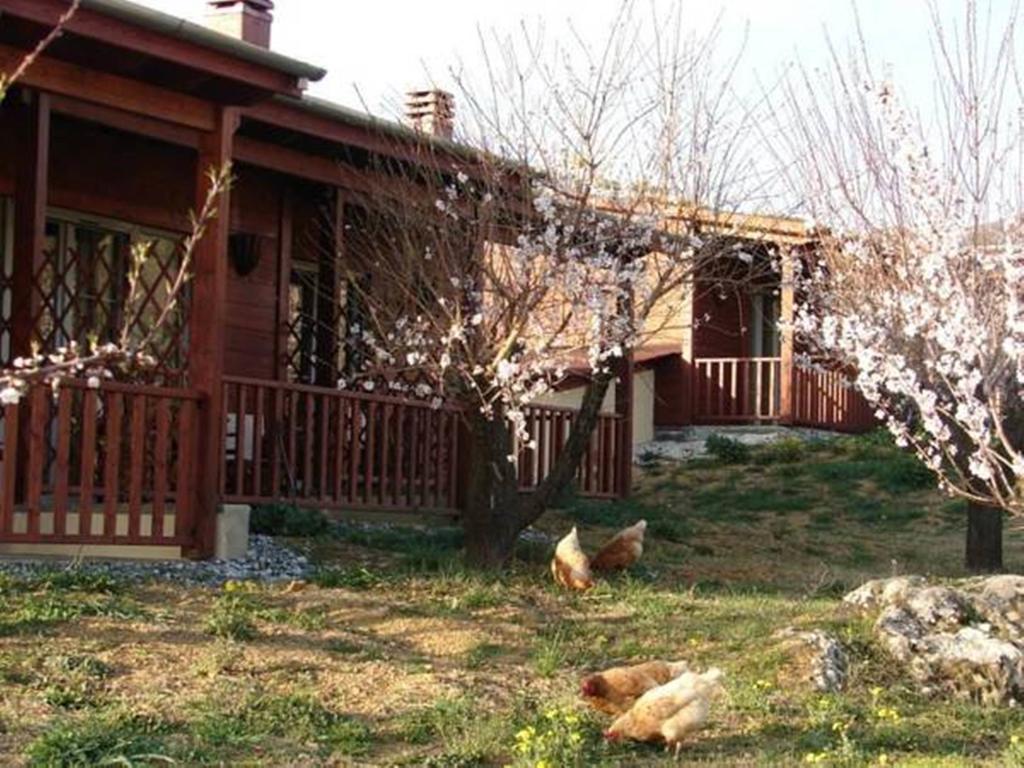 Villa Rustica Konitsa Bilik gambar